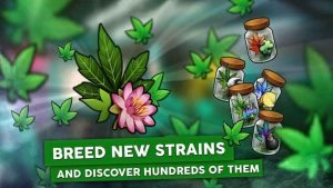 Hempire Weed Growing Game is a worlds kickoff weed farm game from LBC Studios Inc Hempire Weed Growing Game MOD APK Unlimited Money 1.22.0