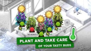 Hempire Weed Growing Game is a worlds kickoff weed farm game from LBC Studios Inc Hempire Weed Growing Game MOD APK Unlimited Money 1.22.0