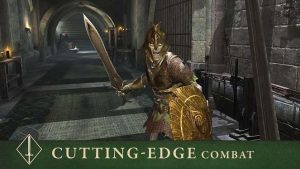 The Elder Scrolls Blades APK MOD is at its pump is a pure Elder Scrolls game The Elder Scrolls Blades APK MOD Android Download